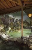 Туры в отель Fujisan Onsen Hotel Kaneyamaen Туры в отель Fujisan Onsen Hotel Kaneyamaen