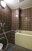 Туры в отель Fujisan Onsen Hotel Kaneyamaen Туры в отель Fujisan Onsen Hotel Kaneyamaen