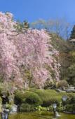 Туры в отель Fujisan Onsen Hotel Kaneyamaen Туры в отель Fujisan Onsen Hotel Kaneyamaen