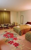 Туры в отель Hotel Shiretoko Туры в отель Hotel Shiretoko