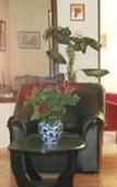 Туры в отель Hotel de Belfort Туры в отель Hotel de Belfort