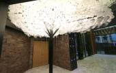 Туры в отель Cosy Park Hotel Туры в отель Cosy Park Hotel