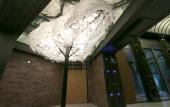 Туры в отель Cosy Park Hotel Туры в отель Cosy Park Hotel