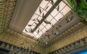 Туры в отель Cosy Park Hotel Туры в отель Cosy Park Hotel