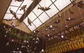 Туры в отель Cosy Park Hotel Туры в отель Cosy Park Hotel