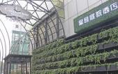 Туры в отель Cosy Park Hotel Туры в отель Cosy Park Hotel