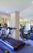 Туры в отель Novotel Guwahati GS Road Hotel Туры в отель Novotel Guwahati GS Road Hotel