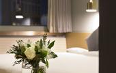 Туры в отель Bay Hound Hotel Туры в отель Bay Hound Hotel