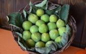 Туры в отель Baia Santa Margherita B&B Туры в отель Baia Santa Margherita B&B