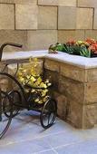 Туры в отель Hotel Colonial San Agustin Туры в отель Hotel Colonial San Agustin