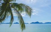 Туры в отель Doublegem Beach Resort and Hotel Туры в отель Doublegem Beach Resort and Hotel