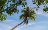 Туры в отель Doublegem Beach Resort and Hotel Туры в отель Doublegem Beach Resort and Hotel
