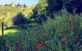 Туры в отель Fattoria di Maiano Туры в отель Fattoria di Maiano