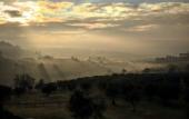 Туры в отель Fattoria di Maiano Туры в отель Fattoria di Maiano