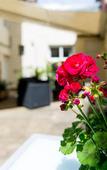 Туры в отель Hotel Regina Туры в отель Hotel Regina