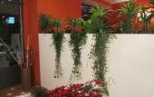 Туры в отель Hotel Borgovico Туры в отель Hotel Borgovico