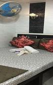 Туры в отель Skystar Hostel Туры в отель Skystar Hostel