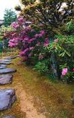 Туры в отель Koyasan Syukubo Kumagaiji Туры в отель Koyasan Syukubo Kumagaiji