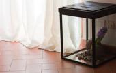 Туры в отель Relais Villa Belvedere Туры в отель Relais Villa Belvedere