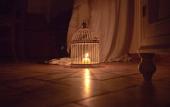 Туры в отель Relais Villa Belvedere Туры в отель Relais Villa Belvedere