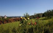 Туры в отель Relais Villa Belvedere Туры в отель Relais Villa Belvedere