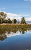 Туры в отель Venissa Wine Resort Туры в отель Venissa Wine Resort