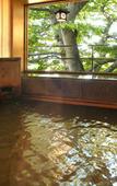 Туры в отель Moriaki Ryokan Туры в отель Moriaki Ryokan