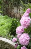 Туры в отель Hotel d'Angleterre Туры в отель Hotel d'Angleterre