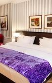 Туры в отель Hotel Ettenheim Туры в отель Hotel Ettenheim