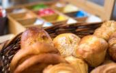 Туры в отель Hotel Le Provencal Туры в отель Hotel Le Provencal