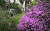 Туры в отель Hostal Rio Amazonas Туры в отель Hostal Rio Amazonas