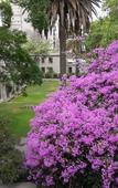 Туры в отель Hostal Rio Amazonas Туры в отель Hostal Rio Amazonas