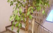Туры в отель Catania Crossing B&B Rooms and Comforts Туры в отель Catania Crossing B&B Rooms and Comforts