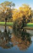 Туры в отель Versilia Golf Resort Туры в отель Versilia Golf Resort