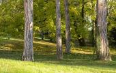 Туры в отель Valpre Lyon Hotel Туры в отель Valpre Lyon Hotel