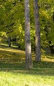 Туры в отель Valpre Lyon Hotel Туры в отель Valpre Lyon Hotel