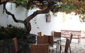 Туры в отель Hotel Rural Vilaflor Туры в отель Hotel Rural Vilaflor