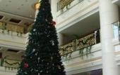 Туры в отель Donsheng Hotel Туры в отель Donsheng Hotel