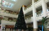 Туры в отель Donsheng Hotel Туры в отель Donsheng Hotel