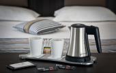 Туры в отель HOTEL ARVERNA VICHY - ClT'HOTEL Туры в отель HOTEL ARVERNA VICHY - ClT'HOTEL