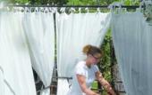 Туры в отель Hotel Villa Marie St Tropez Туры в отель Hotel Villa Marie St Tropez