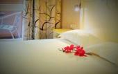 Туры в отель Hotel Napoleon Туры в отель Hotel Napoleon