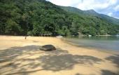 Туры в отель Asalem Туры в отель Asalem