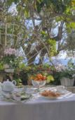 Туры в отель Le Roquebrune Туры в отель Le Roquebrune