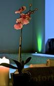Туры в отель Shalai - Exclusive SPA and small gourmet hotel Туры в отель Shalai - Exclusive SPA and small gourmet hotel