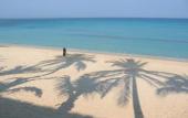 Туры в отель Palm Grove Saud Holiday Complex Hotel Туры в отель Palm Grove Saud Holiday Complex Hotel