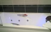 Туры в отель Hotel Kyriad Auray - Carnac Туры в отель Hotel Kyriad Auray - Carnac
