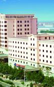 Туры в отель Starlight International Hotel Туры в отель Starlight International Hotel