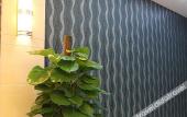 Туры в отель Green Tree Inn Wuhan Huangshi Road Business Hotel Туры в отель Green Tree Inn Wuhan Huangshi Road Business Hotel