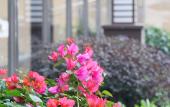 Туры в отель Xige Garden Hotel Туры в отель Xige Garden Hotel